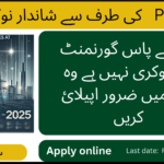 Power Planning and Monitoring Company (PPMC) 2025